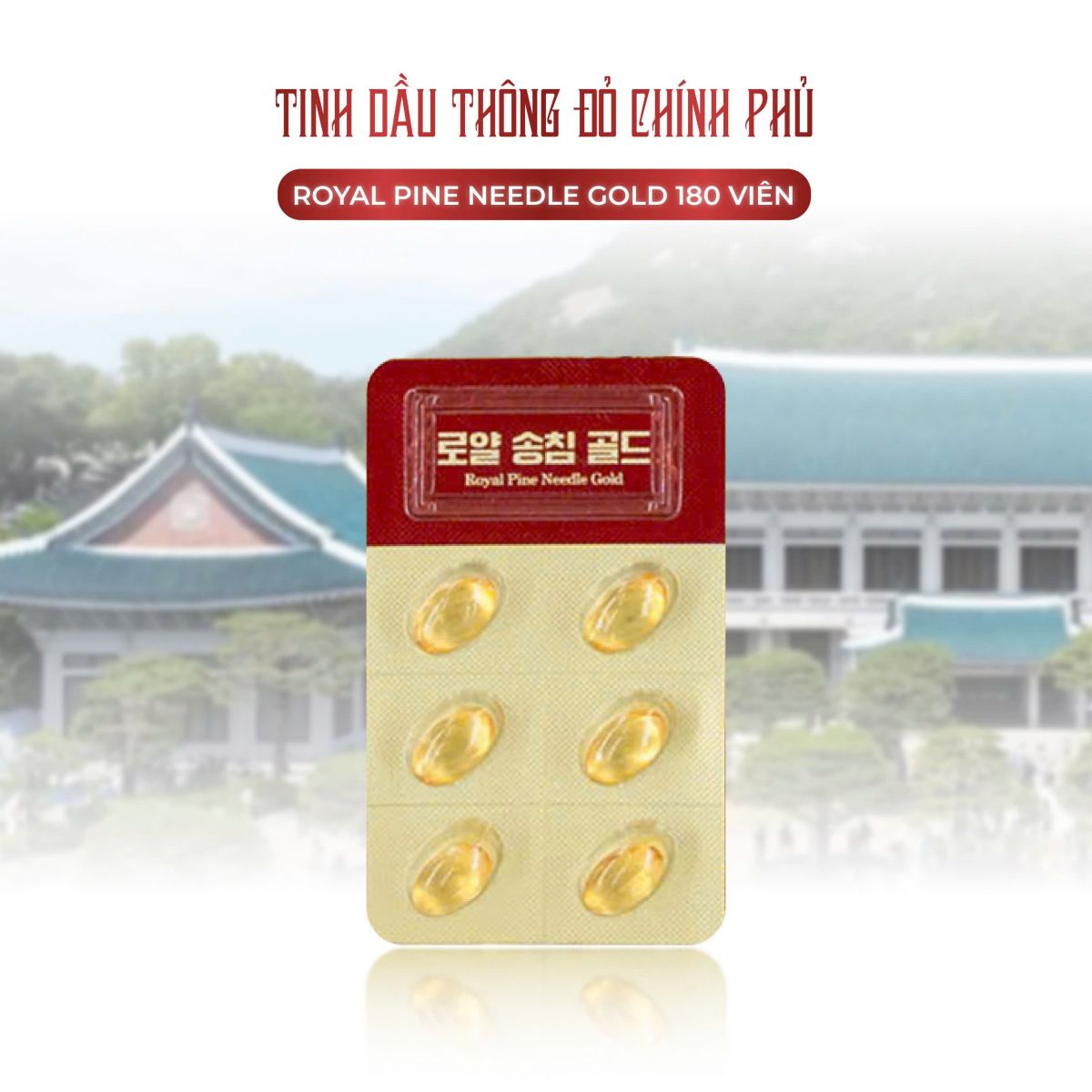 Tinh Dầu Thông Đỏ Chính Phủ